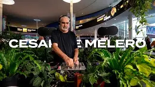 House classics with Cesar de Melero Vinyl Set at ISE 2026 x Ecler DJ x Alocasia TV