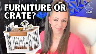 Roman Column Dog Crate Review &ndash; Modern Furniture for Your Pet