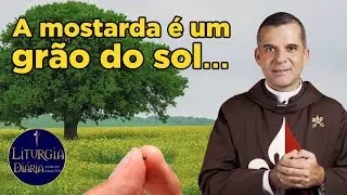 A mostarda é um grão do sol... | Padre Alex (Liturgia Diária )
