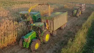 John Deere 8800i | 6 x John Deere | Insilato Mais 2022 | MASON