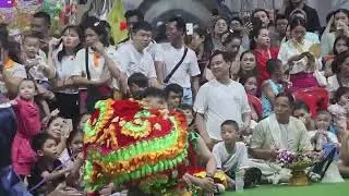 တၢင်းၵႃႈၼူၵ်ႉႁၢင်ႈလီ  Shan Traditional Bird Dance at the festival of the end of the Buddhist lent
