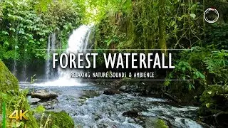 Relaxing Forest Waterfall | 1 Hour 4K Calming Water Sounds Relaxing Nature Video | OmniHour