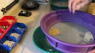 Classifying gold for our paydirt
