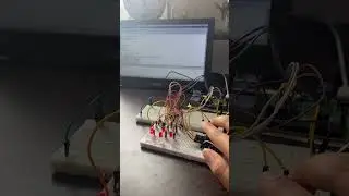 Joystick-Controlled LEDS with Raspberry Pi 🕹️