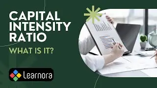 Capital Intensity Ratio | Learnora