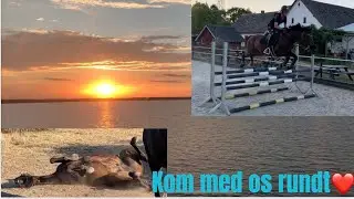 En uge i vores liv # 1