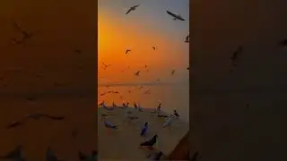 Rang The Noor Tha Song Status ❣️|| Asthetic Status || Lofi Song Status 🥰 #astheticstatus || #shorts