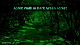 Tranquil Walk in a Dark Green Forest | ASMR Nature Sounds for Focus, Work & Relaxation