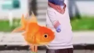 Yo This Edible ain't shit Gumball And Darwin