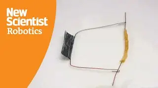 4D-printed robot self-assembles into a tube and rolls up hills