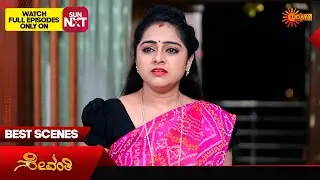 Sevanthi - Best Scenes | 16 Nov 2024 | Kannada Serial | Udaya TV