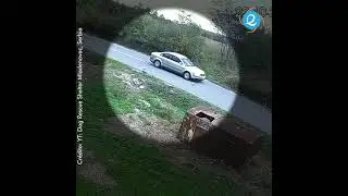 🐶 Perros abandonados en carretera 😰