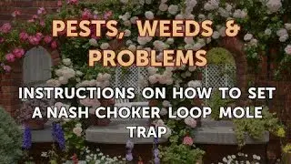 Instructions on How to Set a Nash Choker Loop Mole Trap