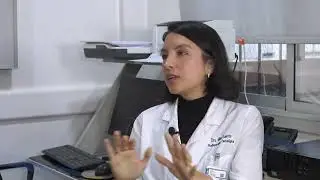 Are there protective factors that can help prevent breast cancer? Dr. Milla Galetto 11/15/2025