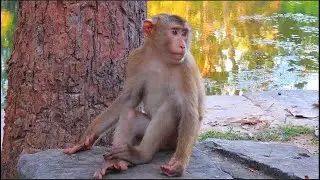 Leo needs some time to relax and calm down for his emotions But he remains clear and courageous