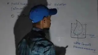 Dialysis