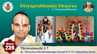 Epi 239 - Divyaprabhanda Dhaaraa | Thiruvaimozhi 3-7 | Thiruvellarai Ammaal UVe Vishnuchithan Swami