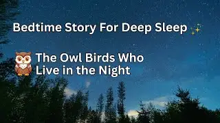 The Owl Birds Who Live in the Night | Peaceful Bedtime Story for Sleep