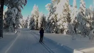 Idre I Schweden I Skilanglauf 