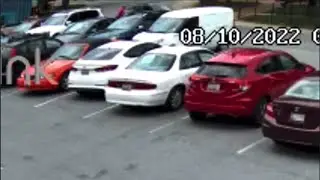 Stacy Link and William Carter Incident (Angle 1)