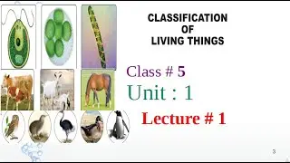 Science 5| unit 1 | Lecture 1 |  Classification Of Living Things| EduPublic