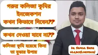 গরুর কলিজা কৃমির লক্ষণ। গরুর কলিজা কৃমির ইনজেকশনের নাম।গরুর কলিজা কৃমির চিকিৎসা।