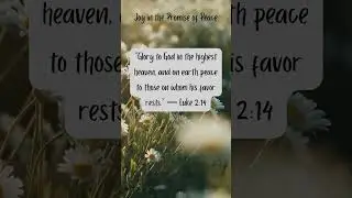 From the Bible:  Joy in the Promise of Peace #biblequote #bibleverse #bibleversedaily #trials