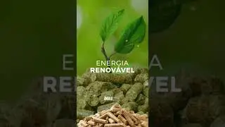 wood pellet pelet de madeira #shorts #pelet #sawdustpellet