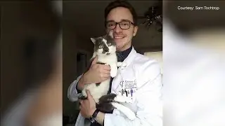 Scooter the cat teaching life lessons