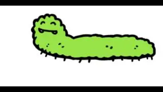 kruipende rups