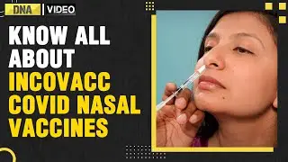 COVID-19 nasal vaccine available on CoWIN, know the price, availability and more | DNA India News
