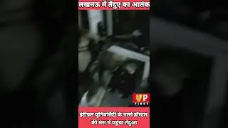 लखनऊ में तेंदुए का आतंक अभी भी जारी,इंटीग्रल यूनिवर्सिटी के गर्ल्स हॉस्टल की मेस में पहुंचा तेंदुआ।
