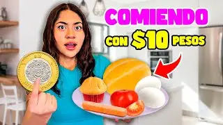 COMIENDO con $10 PESOS 😨 | Michell Merlin
