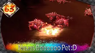 Neues Booooo Pet :D #63🎥Chronicles of Madrigal #Flyff