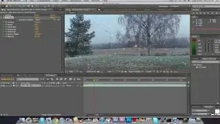 Tutorial - Winter Look After Effects