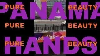 Pure Beauty - Panama Hands (lyric and tablature video)