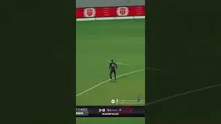 Square cut for four 4️⃣ #shorts #cricket #ytshorts