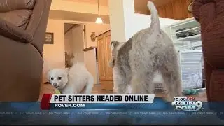 Tucson pet sitters finding customers, success online