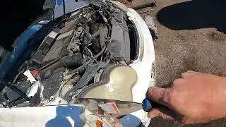 Looking For Valuable Parts at the Pick & Pull Salvage Yard