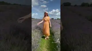 Mayfield lavender fields #shorts #visitengland #cottagecore