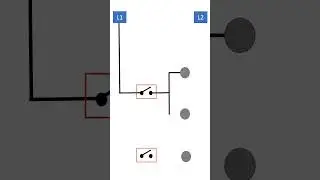 2 BULBS CONNECTED IN PARALLEL CONTROLLED BY 1 SWITCH & 1 BULB CONTROLLED BY 1 SWITCH.. MISTER CORBI.