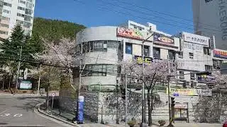 부산 동진여객 3번 다대포항역-다대롯데캐슬블루 주행영상
