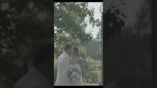 Bri & Andrew tie the knot! #wedding #bride #stl #videoshort #weddingvideo #stlwedding