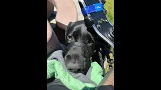 If I drop Something