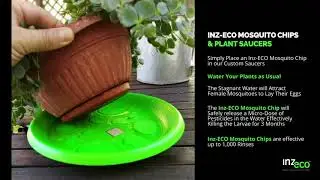 How to Use INZECTO Mosquito Chips and Plant Saucers to Control the Mosquito Population in Your Yard