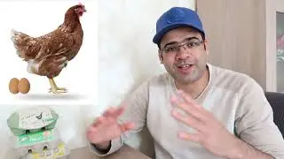 نشوفو الظروف القاسية و الغير طبيعية في تربية الدجاج البياض