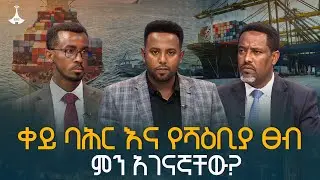 ቀይ ባሕር እና የሻዕቢያ ፀብ ምን አገናኛቸው? የሀገር ጉዳይ | Yehager Guday | National Interest | ETV |EBC | EBCDOTSTREAM
