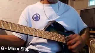 RedSub Coliseum Fanned Fret 5-String Bass, Blue Burl Burst - DEMO Slap.