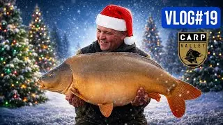 KARPERVISSEN OP CARPVALLEY MET TWEE VEERTIGERS?! #VLOG19