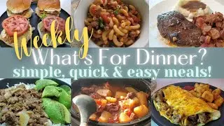Full Week of Dinner Ideas! Easy and Quick Meals for Busy Families
